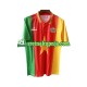 Muškarci Domaći Home Dresova Kamerun Retro 1994 Kratkih Rukava