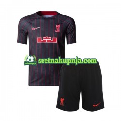 Dječja Domaći Home Dresova Liverpool x LeBron James 2022-2023 Kratkih Rukava