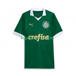 Muškarci Domaći Home Dresova Palmeiras 2024 Kratkih Rukava