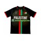 Muškarci Domaći Home Dresova Club Deportivo Palestino Center Stripre 2024-2025 Kratkih Rukava