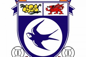 Cardiff City Cardiff City